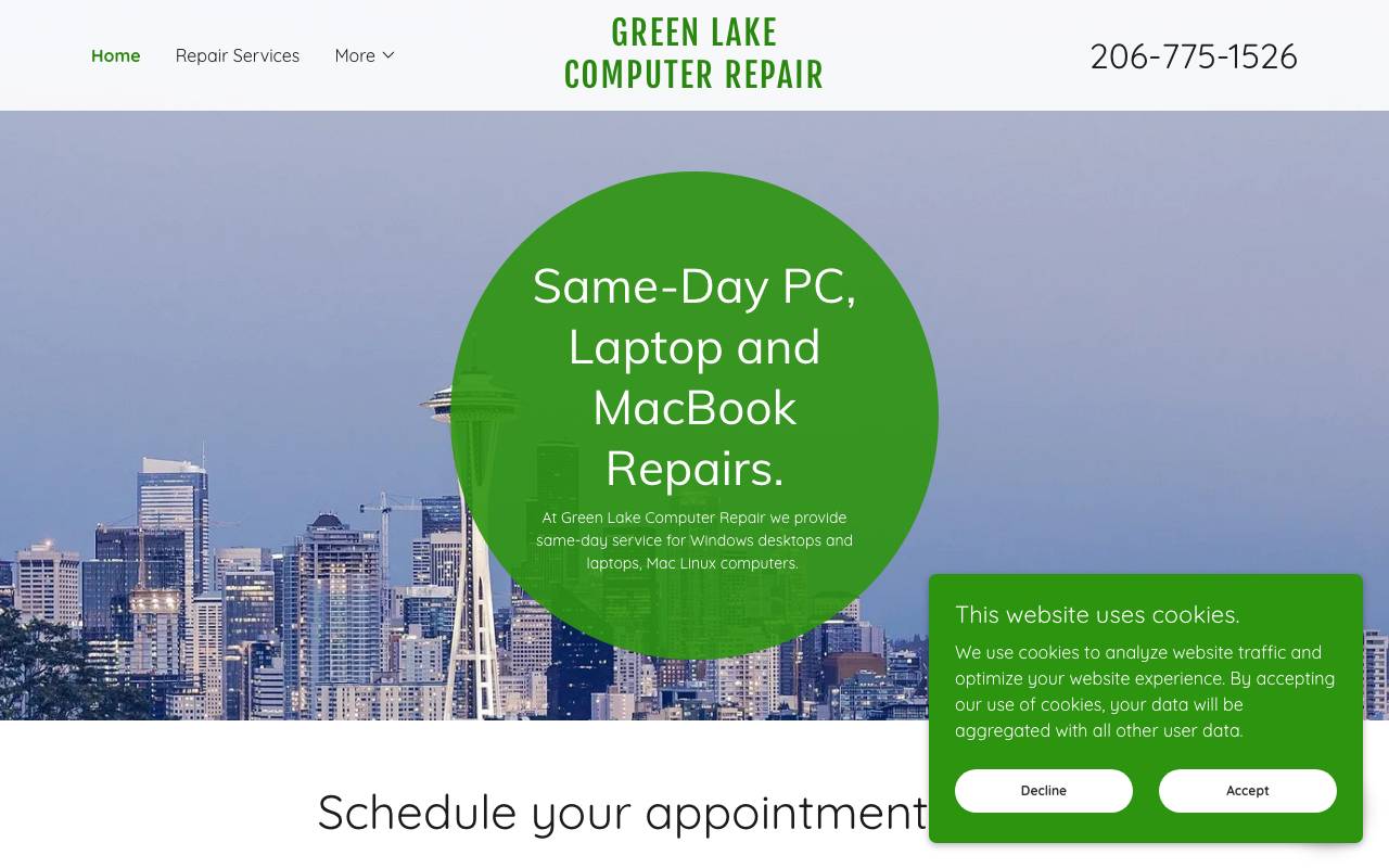 Green Lake Computer Repair website — Home — captured