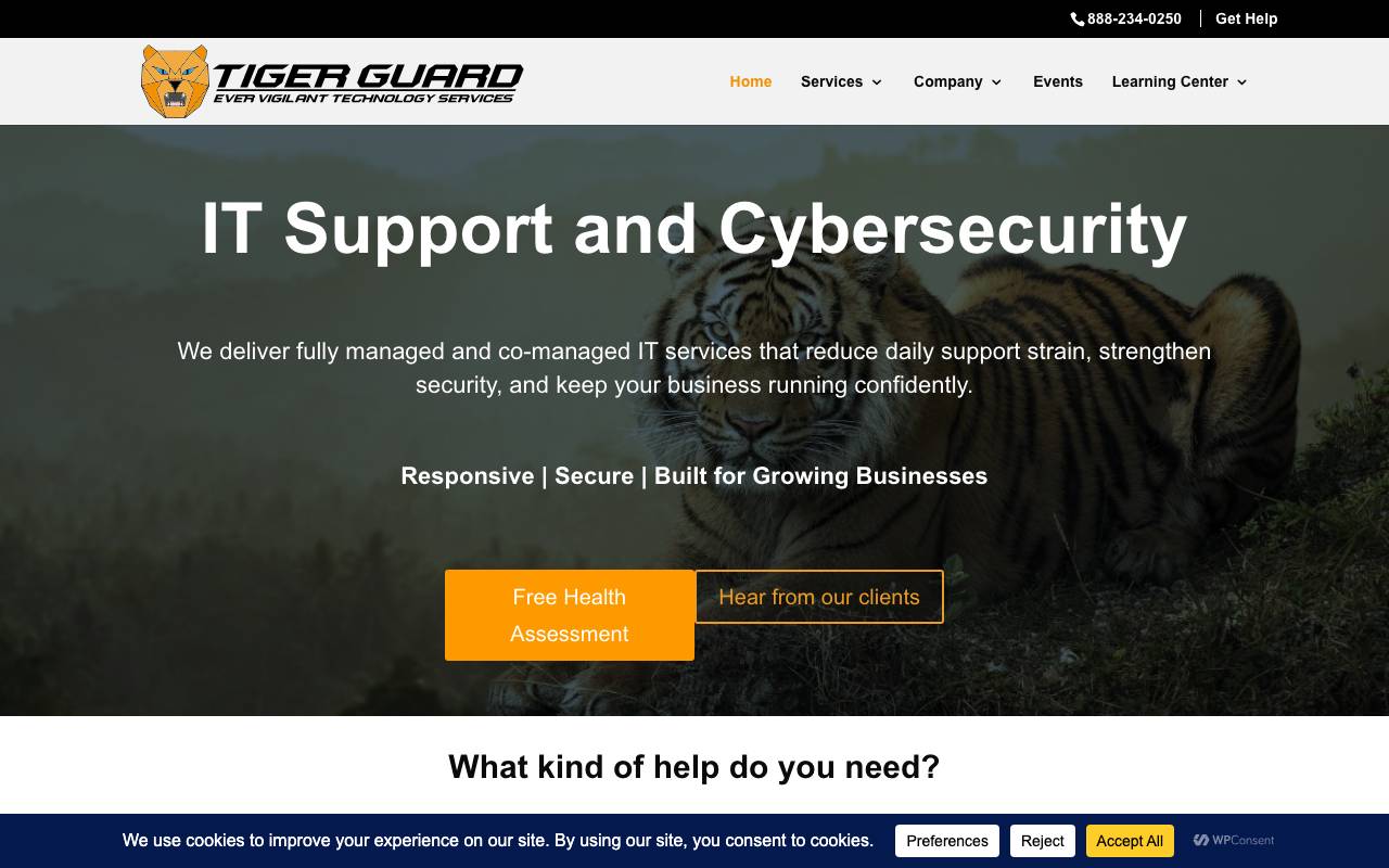 Tiger Guard IT website — Home — captured