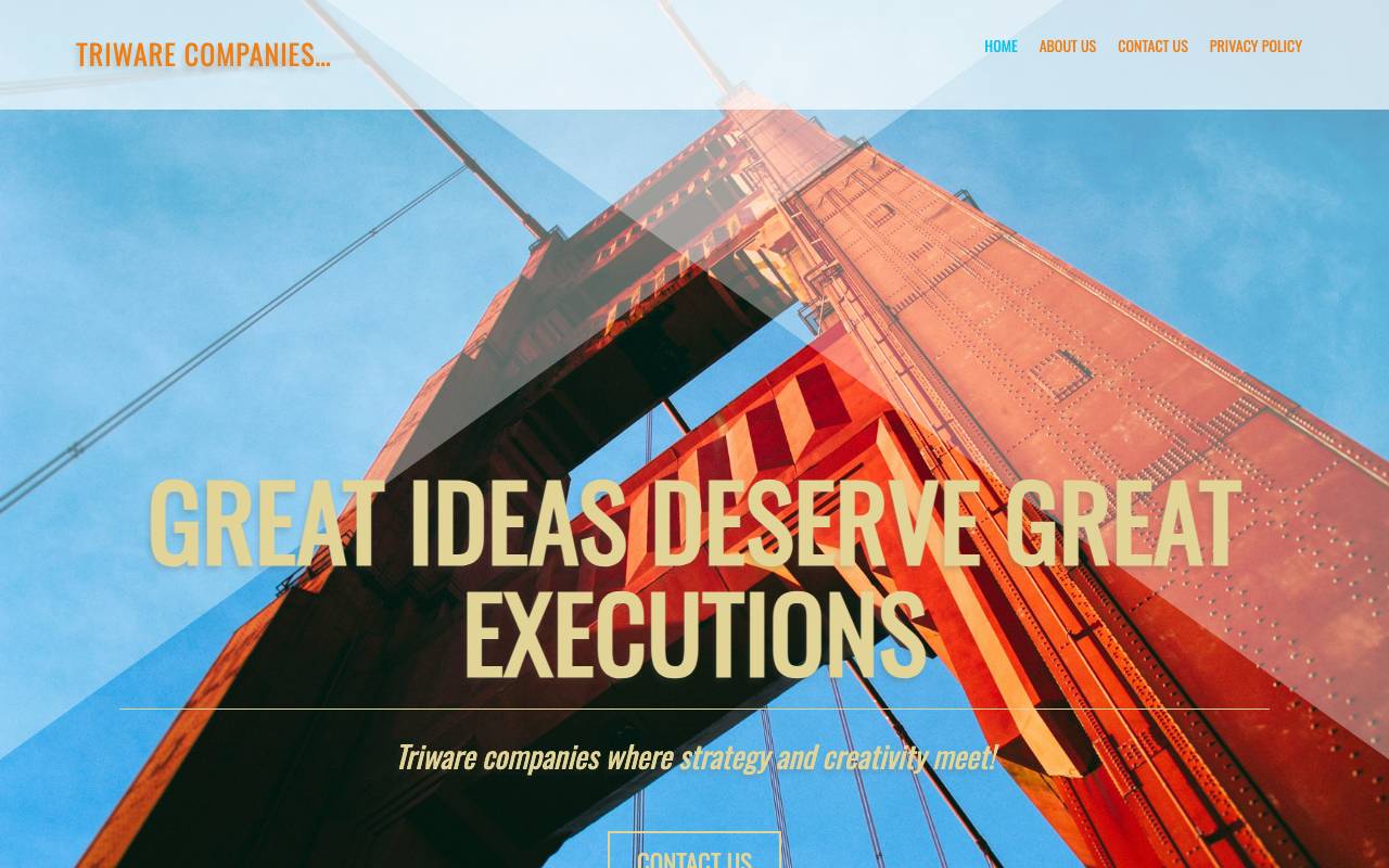 Triware Companies website — Home — captured