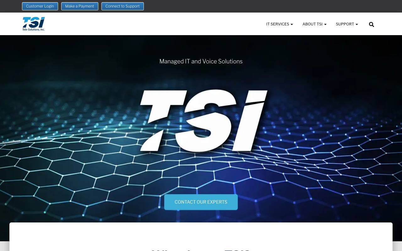 TSI website — Home — captured