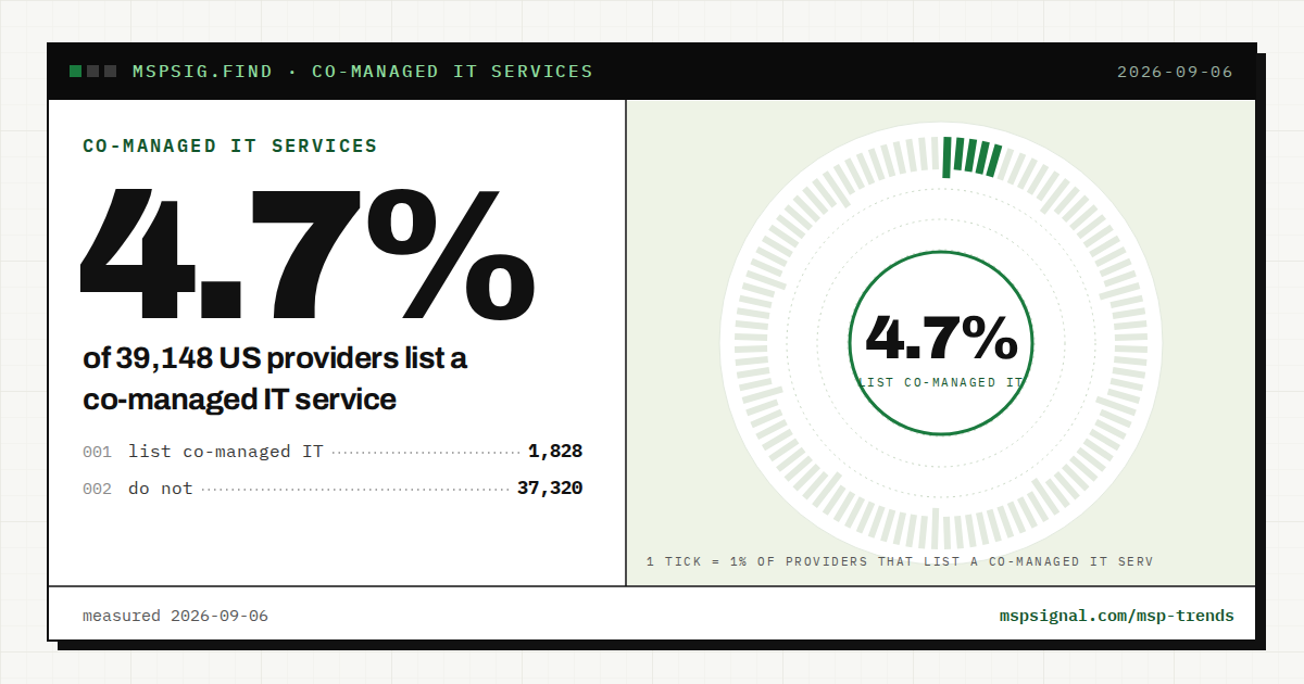 Co-managed IT services