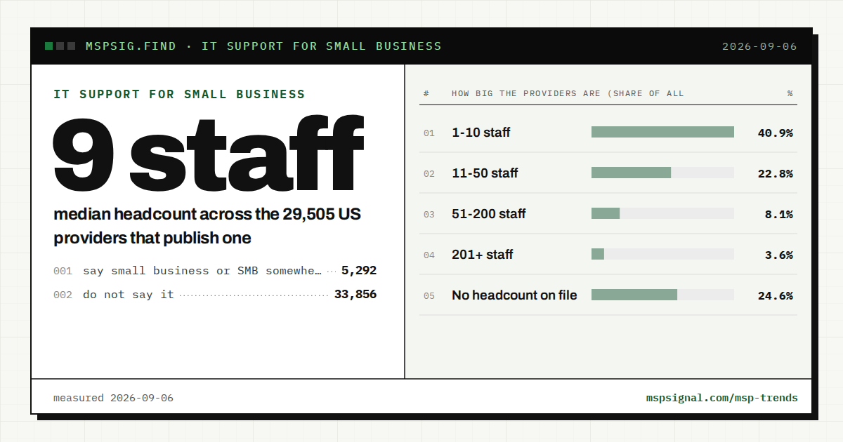 IT support for small business